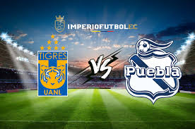 La franja ha perdido dos y ganado uno de los últimos seis cotejos contra los regios. Ver En Vivo Tigres Vs Puebla Partido Por La Liga Mx Guardianes Apertura 2020