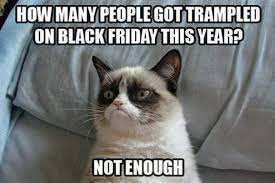 80 funny cat pictures captions will make you jump laughing. Top 25 Grumpy Cat Memes Cattime