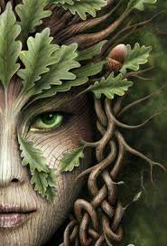 Seek Out A Tree And Let It Teach You Stillness Eckhart Tolle Artist Unknown Fantasy Art Green Man Art