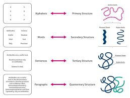 The Complexity of Proteins | Proteintech Group