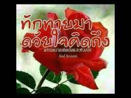 สว สด ว นอาท ตย ว นอาท ตย ธรรมชาต ผ สร างสรรค ดอกก หลาบอ งกฤษ