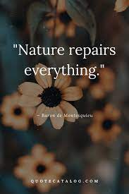 Nature Healing Quote Quote Catalog Nature Quotes Beautiful Nature Lover Quotes Nature Quotes
