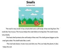 Inside you will find 4 free pages from my first grade reading comprehension packet. 1st Grade Reading Comprehension Worksheets