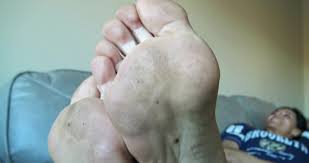 Zephy - Nylon foot sniffer - Foot fetish for devoted slaves - Unique content available