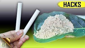 In animals and human, calcium is primarily essential for the skeletal structure or bones. 2 Top Secret Gardening Hacks For Calcium 6 Easy Organic Sources Of Calcium In Garden Youtube