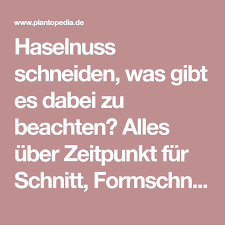 Pin Auf Garten