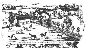 Image result for White 1990 Case JI Company