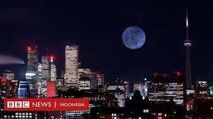 Rupanya, sifat bunga matahari yang selalu menghadap ke arah matahari ini dipengaruhi oleh hormon auksin. Bagaimana Bulan Dapat Mempengaruhi Suasana Hati Dan Kebahagiaan Kita Bbc News Indonesia