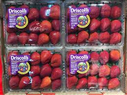 Just wanted to share with everyone the amazingly huge organic long stem strawberries i had the pleasure of devouring! Driscoll S Long Stem Strawberries Great Harvest Fruits Facebook