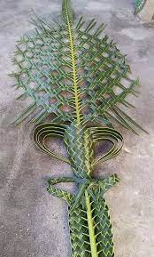 Daun kelapa bisa dimanfaatkan sebagai atap rumah, anyaman dan sebagai alternatif pakan ternak, sedang batang daun juga bisa dijadikan sapu lidi. Siakap Keli Seni Anyaman Daun Kelapa Yang Sangat Kreatif Flax Flowers Creative Flower Arrangements Palm Frond Art