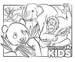 Uncolored Panda Elephant And Orangutan Zoo Coloring Pages Coloring Pages Elephant Coloring Page