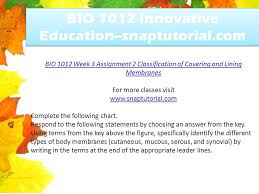 Bio 1012 Innovative Education Snaptutorial Com Ppt Download