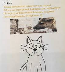 Nazan Adli Kullanicinin Cocuklar Icin Etkinlik Panosundaki Pin 2020 Kedi Kaptan