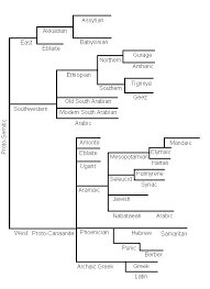 Semitic Language Tree