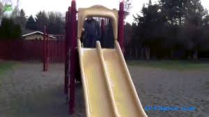 Once your kids stop using the slide, it can be easily folded and put aside until further use. 23 Playful Gifs Of Dogs Playing On Slides The Wondrous Magazine Dogs Slip And Slide Playground Slide