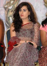 Asin - WordPress.com