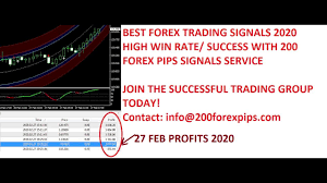 How To Make 200 Pips A Day With Forex Trading 2020 Part 17 Forex Trading Forex Trading