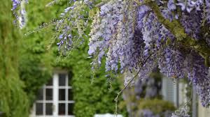 (regular updates on the roblox wisteria codes 2021: La Cheneviere First Class Port En Bessin France Hotels Gds Reservation Codes Travel Weekly