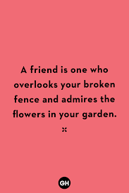 When you cherish a friend, don't hesitate to use these nice words to say to a friend on him or her. 40 Short Friendship Quotes For Best Friends Cute Sayings About Friends