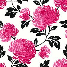Find and download black and pink flower wallpapers wallpapers, total 19 desktop background. Rosa Bild Pink Black And White Flower Wallpaper