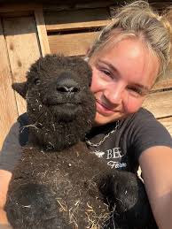 Country Bee Honey Farm