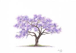 The trees are far away and all they look like is when working with colored pencils i find it easier to think about the small details ahead of time. Results For Colored Pencils Drawings In Art Artfinder
