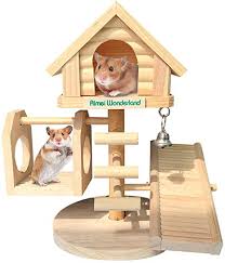 Below i will provide key facts, images and a description of the four different dwarf hamster species.it's worth knowing that campbell's and winter white dwarf hamsters can breed together to produce 'hybrids'.these hybrids are a controversial topic in the pet industry but i won. Amazon Com Dwarf Hamster House Durable Odorless Deluxe Two Layers Wooden Hut For Hamster Toys Syrian Hamster House Natural Living Wooden Castle Diy Small Animal Playground Pet Supplies