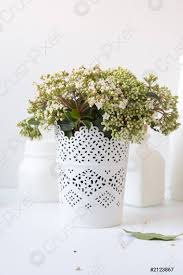 White flower in white flowerpot on round wood table near a white window. Mazzo Di Fiori Bianchi In Vaso Foto D Archivio Crushpixel