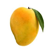 A Grade Yellow Mango, Loose at ₹ 80/kg in Badlapur | ID: 2852432778797