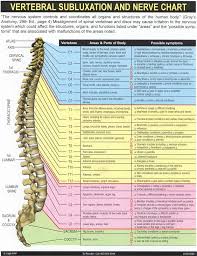 Pin On Back Pain