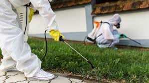 We spot treat all broadleaf weeds, insect and disease activity at each round of service as needed. Abc Home Commercial Services Reviews This Old House