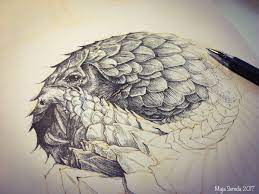 Discover (and save!) your own pins on pinterest Maja Sereda Ø¹Ù„Ù‰ ØªÙˆÙŠØªØ± Drawing A Pangolin In My Sketchbook It Is A Fascinating Animal Each Scale Different In Shape And Size Drawing Endangered Sketchbook Https T Co Ninj2gsgrk