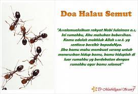 Untuk membuang semut di dalam bekas gula yang sudah dikerumuni semut, cuba petua ini. Facebook