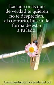 Encuentra fotos de stock perfectas e imágenes editoriales de noticias sobre desprecio en getty images. Desprecio Desprecio Frases Frases Melancolicas Frases Sabias