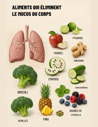 😮‍💨 Souffrez-vous de mucosités, de mucus ou de congestion en permanence ? Votre alimentation peut vous aider à les éliminer naturellement ! 🌿 Ces aliments fournissent à purifier votre corps du mucus et à