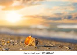 Empty Cradle Images Stock Photos Vectors Shutterstock