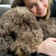 Furry Scurry Walk-a-Thon 2022