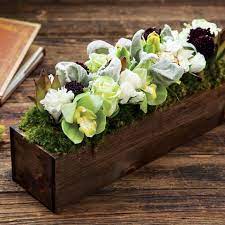 Olive and cocoa flowers review. Bianca Grace Olive Cocoa