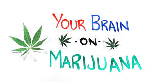 You can allso insert weed drawing graffiti in your document or presentation. Your Brain On Drugs Marijuana Youtube