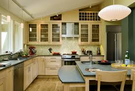 kitchen ceiling track lighting houzz