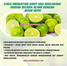 Pin Oleh Arini Bakar Di Herbal Obat Alami Kesehatan Alami Resep Sehat