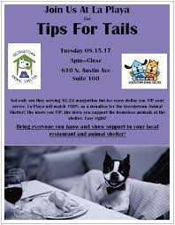Beginning as a humble awareness group in. Newsletter Page 3 Georgetown Animal Services