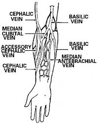 Pin On Medical Assisting