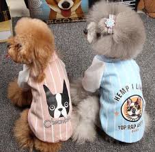 Satin Al Yavru Kopek Kiyafetleri Sonbahar Kis Kiyafetleri Teddy Kucuk Kopekler Kediler Pmei Ve Ayi Tl122 23 Tr Dhgate Com