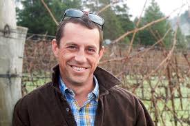 Top Five Pinot Noir Vineyards in California's Anderson Valley