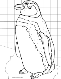 Or, color the penguins their regular color, and get creative with their surroundings! Zoo Coloring Pages Free Admittance