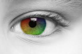 For example, some 79 percent of the population has brown eyes, while 8 percent has blue. Red Green Blue Yellow The Stunning Colors You Can T See Live Science