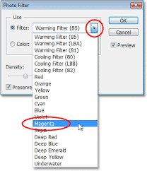 Tinting And Enhancing Colors With The Photo Filter In Photoshop