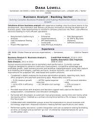 Business Analyst Resume Sample Monster Com