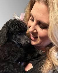 Poodle turns four years old today